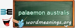 WordMeaning blackboard for palaemon australis